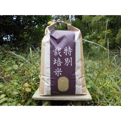 ふるさと納税 上郡町 【栽培期間中農薬不使用】『タガメの里・自然米』2025年産「にこまる」玄米10kg |  | 01