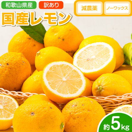 レモン 訳あり 国産 レモン 5kg (サイズ混合) ノーワックス 減農薬 どの坂果樹園《2026年2月上旬-6月末頃出荷》 和歌山県 日高町 レモン れもん 檸檬 家庭用 旬 新鮮 果物 柑橘 フルーツ 訳あり 大容量 Lemon lemon 送料無料