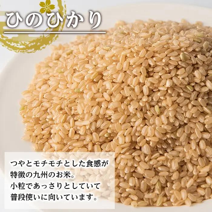 i504-k 【敬老の日ギフト】鹿児島県出水市産ひのひかり＜玄米＞(3kg×2袋・計6kg) 米 玄米 ヒノヒカリ 自家脱穀 自家精米 発送直前 精米 ごはん お米マイスター 厳選 ギフト プレゼント