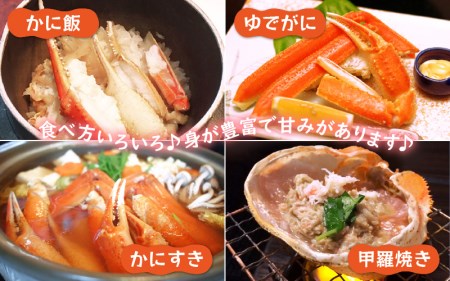 【訳あり】≪浜茹で≫指折れ 越前がに（中） × 2杯 【1月発送分】 食べ方しおり かにスプーン付き【雄 ズワイガニ ずわいがに 越前ガニ 姿 ボイル 冷蔵 福井県】希望日指定可 備考欄に希望日をご記