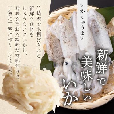 ふるさと納税 鹿島市 逸品!いかしゅうまい 10個入×2P |  | 03