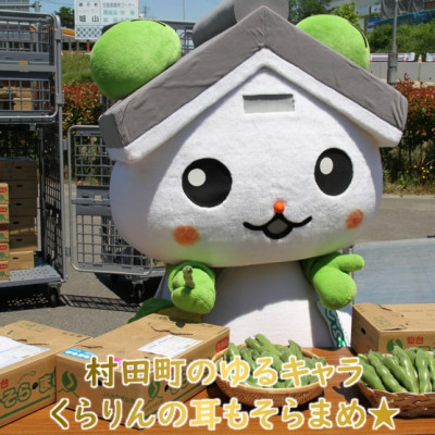 【先行受付2025年】そらまめ 約4kg Lサイズ 宮城県村田町産【配送不可地域：離島】