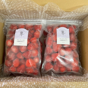 冷凍あまおう フローズンあまおう 苺 あまおう 1kg (500g×2p)｜あまおう 福岡県産 福岡 川崎 OKI 