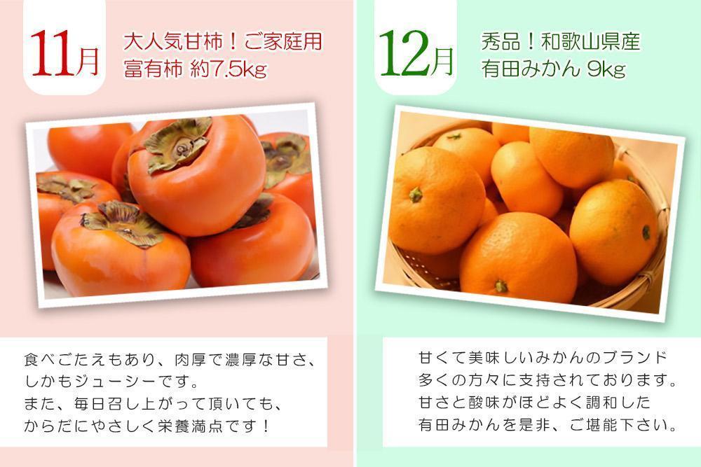 【定期便全6回】夏・秋の新鮮フルーツ定期便 ［TM203］