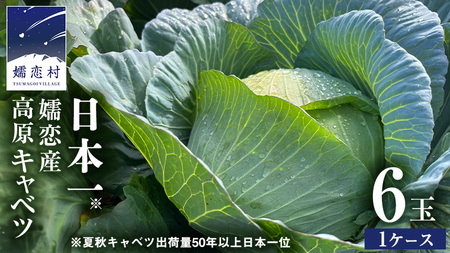 【7月中旬発送開始】 嬬恋キャベツ 嬬恋産 高原 キャベツ 6玉 1ケース Lサイズ 先行予約 2026年発送 [AS007tu]