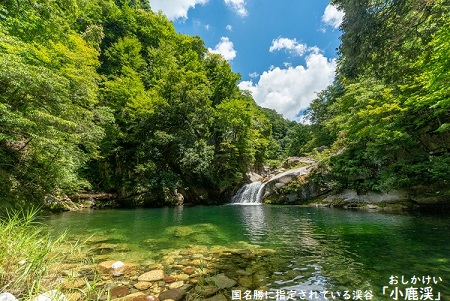 鳥取県三朝町ANAトラベラーズダイナミックパッケージクーポン3,000点分