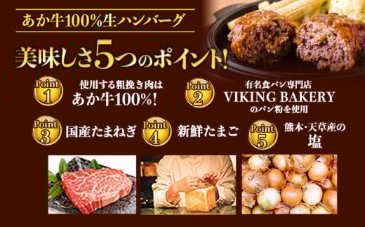 ステーキマニア監修 熊本県産あか牛100%生ハンバーグ 140g×13個入り3セット 合計5460g 《2026年1月中旬-3月末頃出荷》熊本県産あか牛 冷凍
