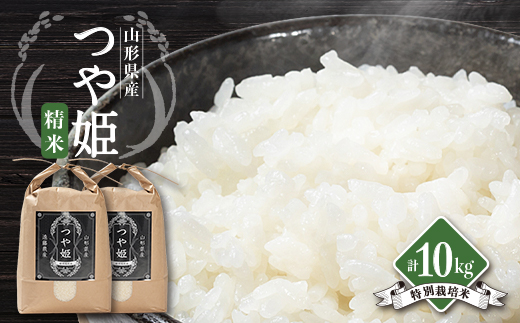 
            山形県川西町産　つや姫　白米　精米10kg【1462402】
          