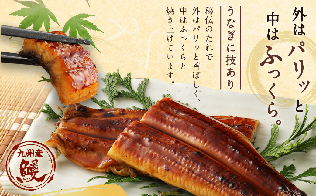 【4ヶ月定期便】鰻天屋 九州産うなぎ 蒲焼 約140g×2尾 セット