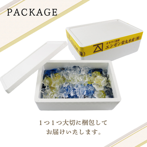 【予約販売 6月~順次発送】活 ムール貝 3.5kg