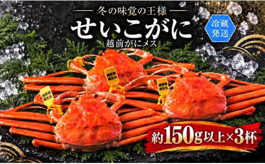 【冷蔵発送】越前がに（メス）「せいこがに」 正規 150g前後 × 3杯