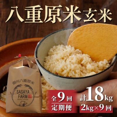 ふるさと納税 東御市 令和7年新米受付【9回定期便】八重原米2kg(2kg×1袋)玄米※2025年10月以降発送|笹屋農園