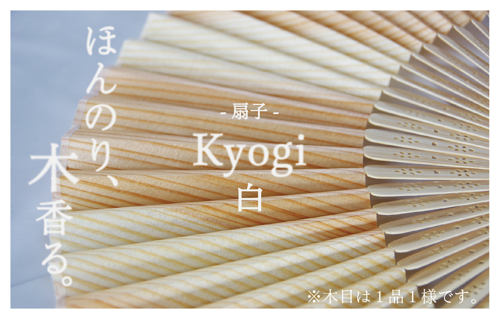 経木紙扇子　白　（箱入り）（有）三共 | 北海道津別町