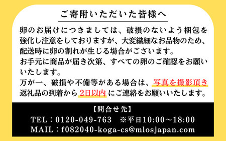 【定期便3か月】江原ファーム　体に優しい地養卵（30個） ※着日指定不可 _AG13