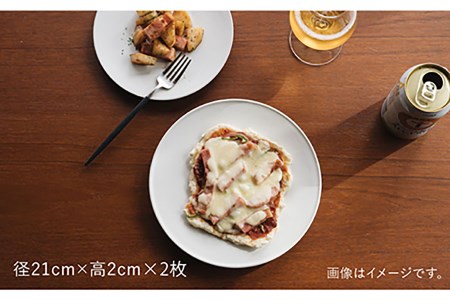 【波佐見焼】デルフト皿 プレート 21cm 白マット釉 2枚セット 食器 皿 【イロドリ】 [KE26] 波佐見焼