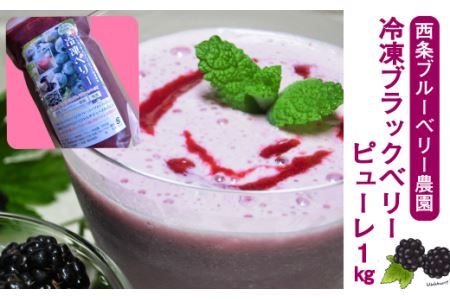 【先行予約】冷凍ブラックベリーピューレ 1㎏ ｜ 西条ブルーベリー農園