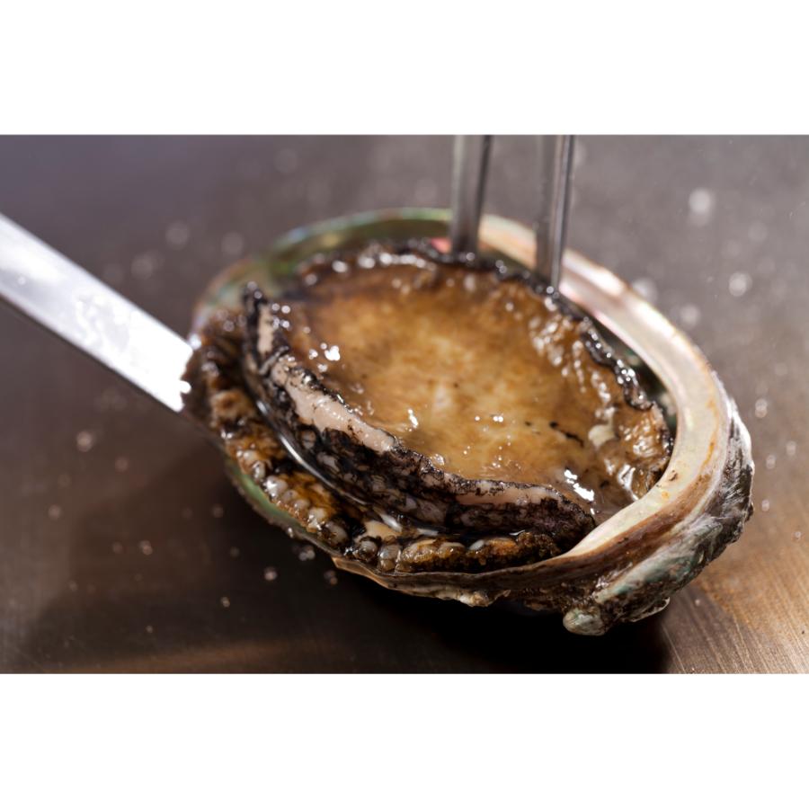 ＜京王プラザホテル＞鉄板焼「やまなみ」プレミアムディナーコース＆シャンパーニュ【個室確約】（4名様）【三越伊勢丹選定】