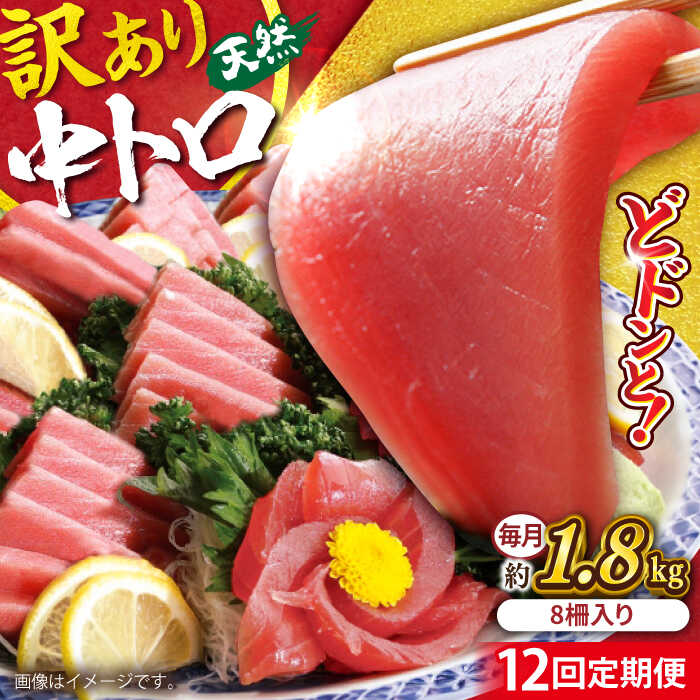 【ふるさと納税】【全12回定期便】【訳あり】天然 まぐろ 中トロ メバチ 計約1.8kg (8柵入り) マグロ 定期 鮪 まぐろ 中とろ 刺身 定期便 横須賀 規格外 【本まぐろ直売所】[AKAK055]
