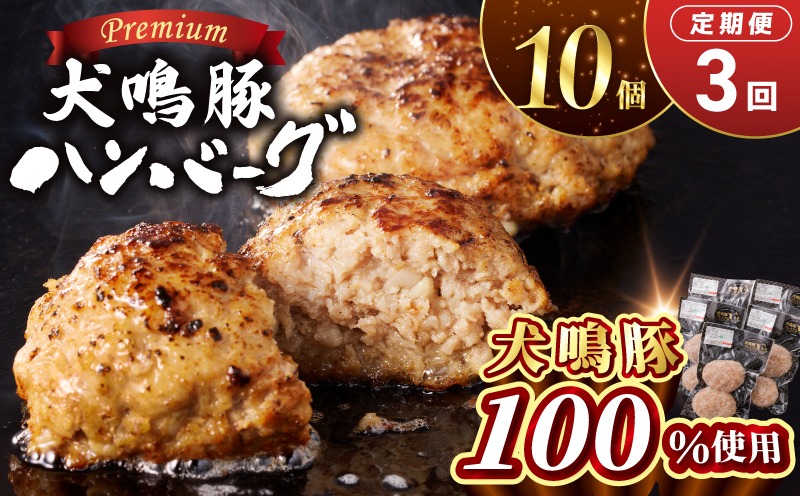 099Z590 【泉佐野ブランド豚】犬鳴豚の手作りプレミアムハンバーグ（10個入り）×3回【国産 豚肉 ぶたにく 定期便 犬鳴ポーク 普段使い】