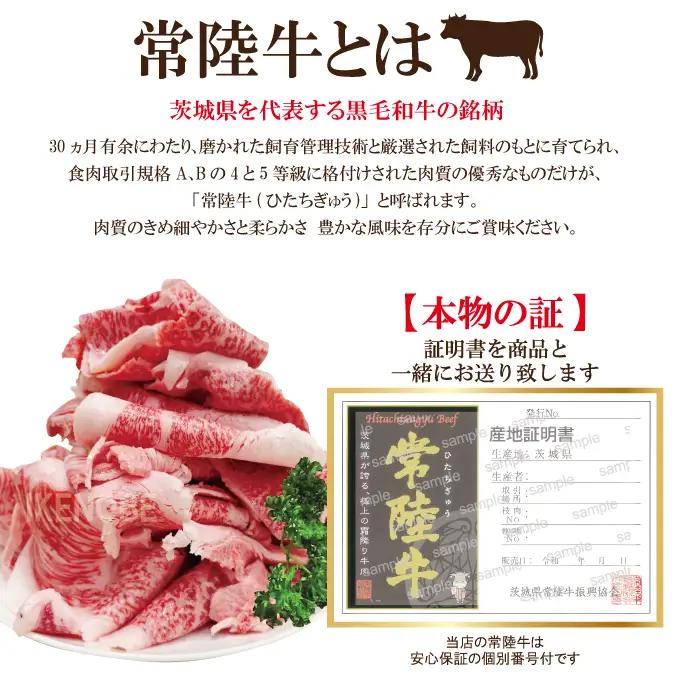 牛肉 切り落し 計1kg  [500g×2パック]  国産 霜降り すき焼き 常陸牛 A5等級 【ho1561-1】