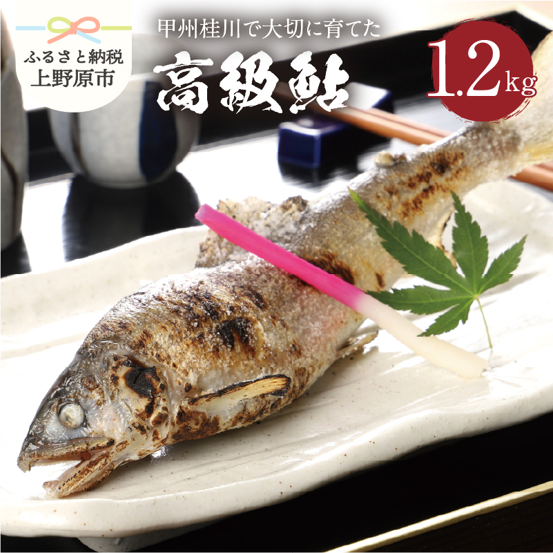 【ふるさと納税】 魚 川魚 鮎 あゆ 桂川 甲州桂川の鮎(Aセット) 1.2kg(13～15尾) 贈答 贈り物 送料無料 ※沖縄県、離島不可 山梨県 上野原市