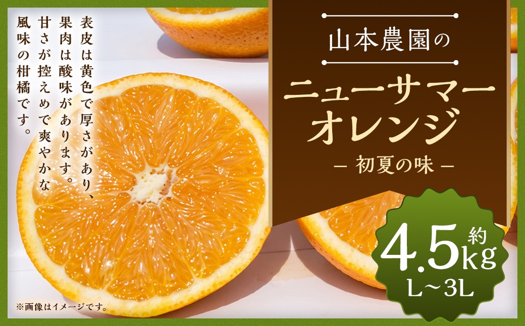 
                  山本農園のニューサマーオレンジ （初夏の味） 4.5kg 【2027年3月下旬～4月下旬発送予定】 みかん 蜜柑 ミカン おれんじ オレンジ フルーツ 果物 くだもの ジューシー 柑橘  国産 完熟 ジューシー プレゼント 贈り物 ギフト 佐賀県 太良町 N128x2
                