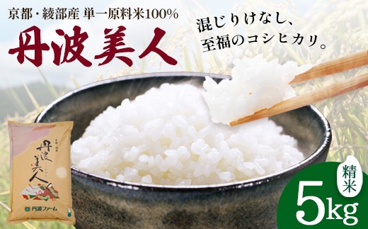 「丹波美人」白米 5kg / 米 白米 国産 綾部市 / 有限会社カメイ［BSDY083］