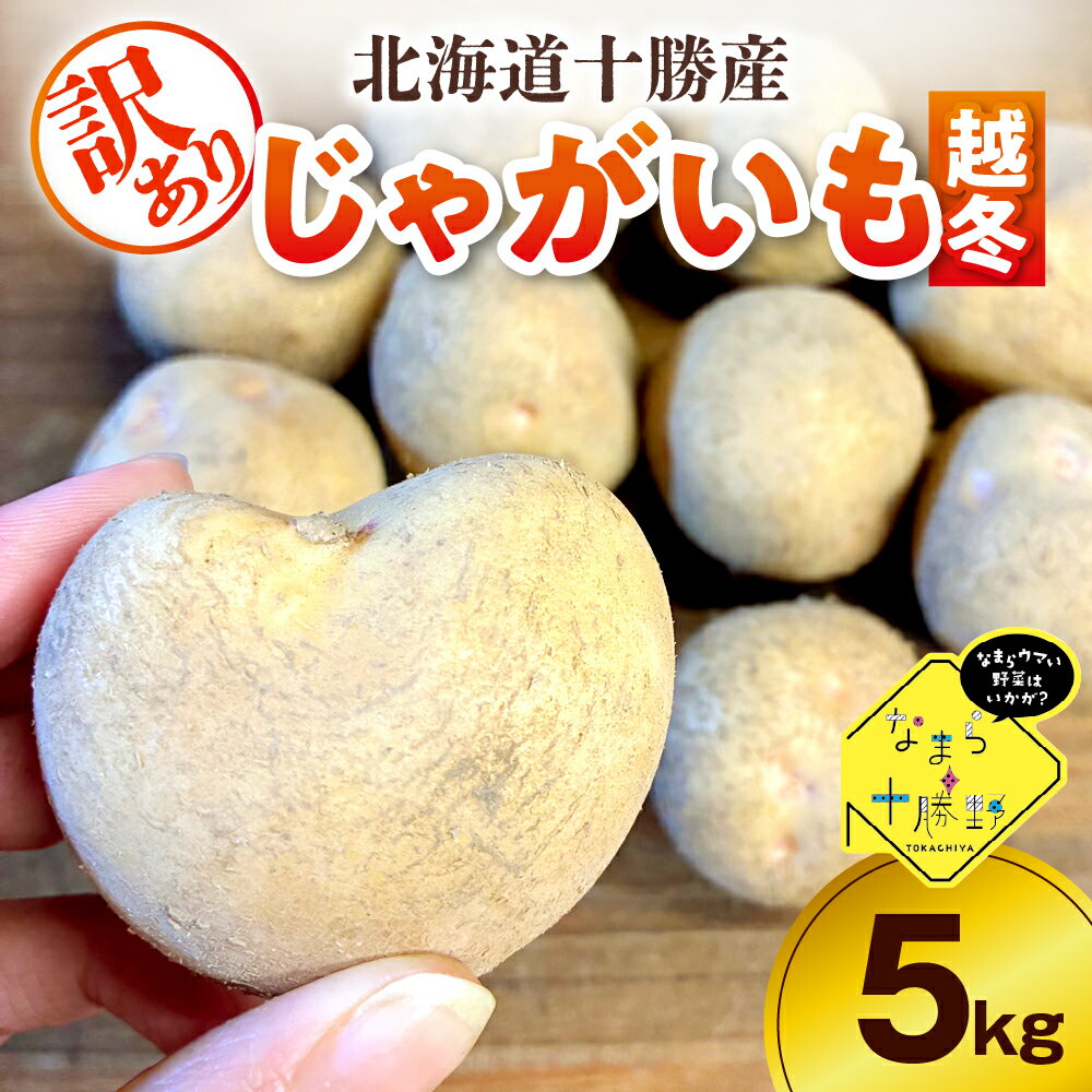 【ふるさと納税】 【訳あり】 農家応援 じゃがいも ( 越冬 ) 5kg ( 選べる 品種 : キタアカリ / はるか / メークイン / 北海こがね )【2月上旬～4月下旬頃配送】 / 芋 おいも ジャガイモ 肉じゃが シチュー カレー ポテトサラダ 炒め物 産地直送 北海道 十勝 芽室町