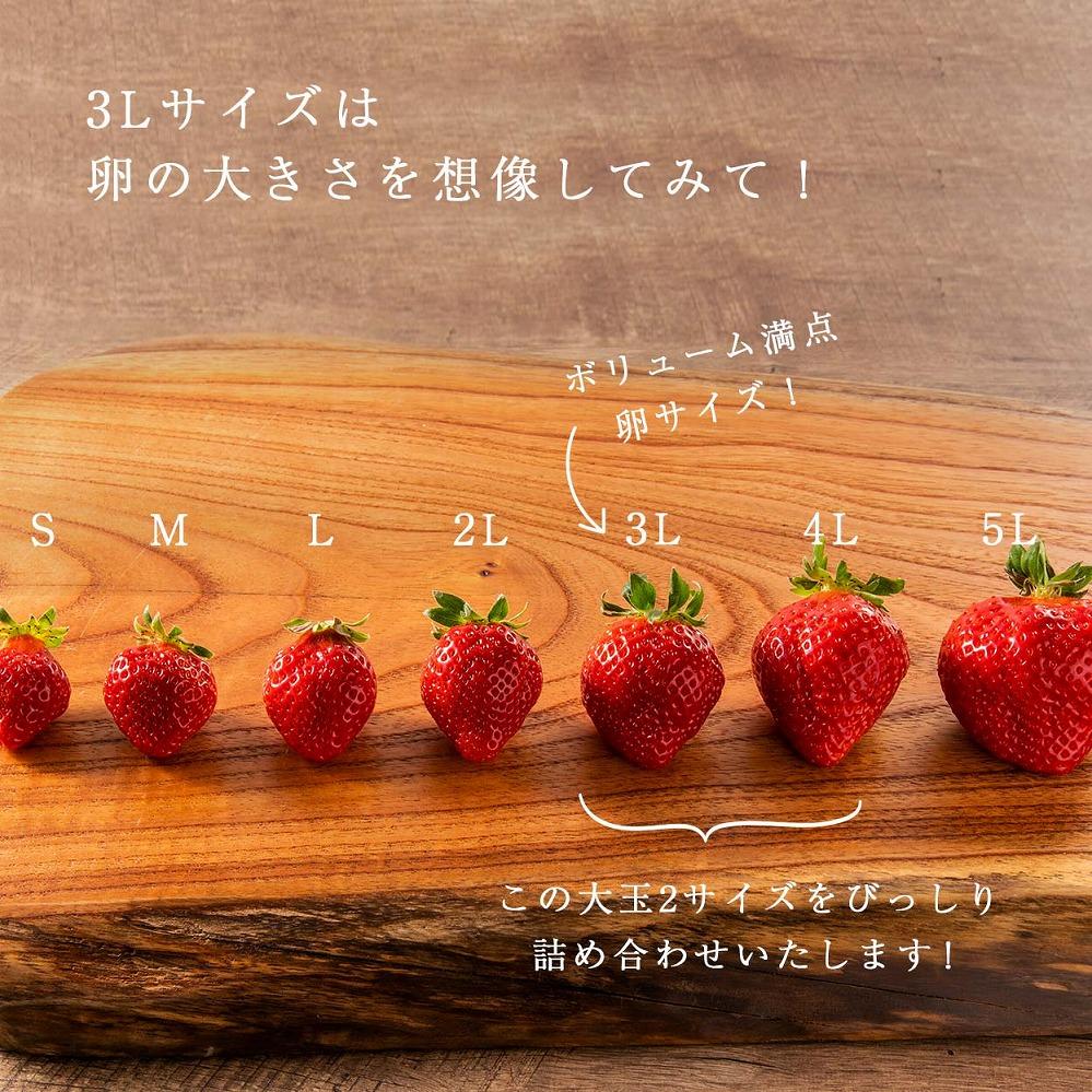 【2026年1月～4月出荷分予約販売】★身近な人間関係のお祝いに★「完熟あまおう」3L～4Lミックス詰め合わせ 900g入り