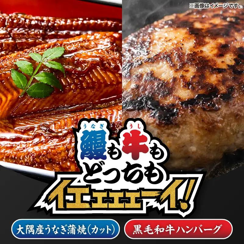 2471 【鰻も牛もどっちもイエェェェーイ！4】鹿児島県大隅産「カット」うなぎ蒲焼80g×1枚 うしの中山和牛100%ハンバーグ2個 KN050-013 うなぎ 本格 鰻 ウナギ 蒲焼 湯煎 レンジ 解凍 簡単調理 鰻丼 鰻重 ひつまぶし 土用の丑 黒毛和牛 和牛 牛肉 肉 国産 ハンバーグ 冷凍 nixy 中山亭 鹿屋店 ふるさと納税 鹿児島 鹿屋市 おすすめ ランキング プレゼント ギフト
