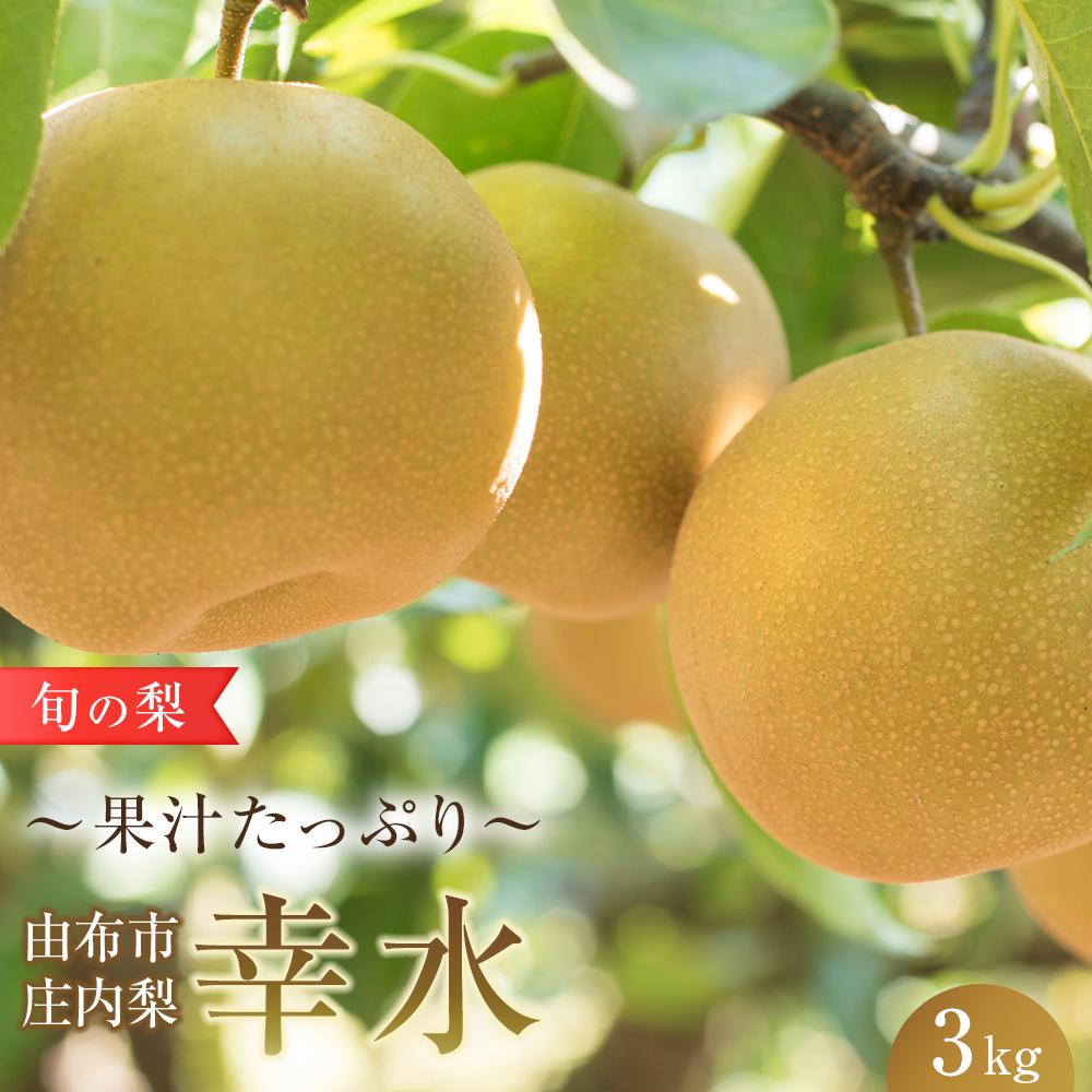 【ふるさと納税】旬の梨 幸水 3kg 庄内梨 大塚梨園＜2025年8月中旬以降発送＞ | 梨 なし 3kg 由布院 湯布院 由布市 大分県 九州 フルーツ 果物 お取り寄せ 国産 送料無料 ゆふいん おすすめ 数量限定 期間限定