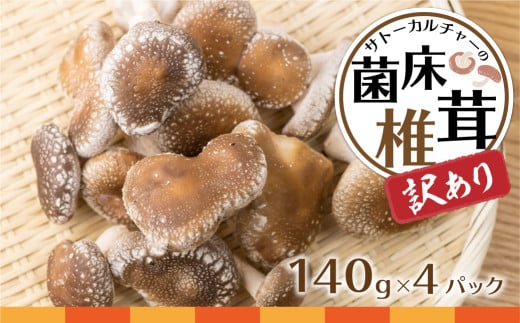 訳あり 菌床しいたけ 560g 140g×4パック 訳アリ ワケアリ わけあり 椎茸 きのこ 鍋 すき焼き　などに