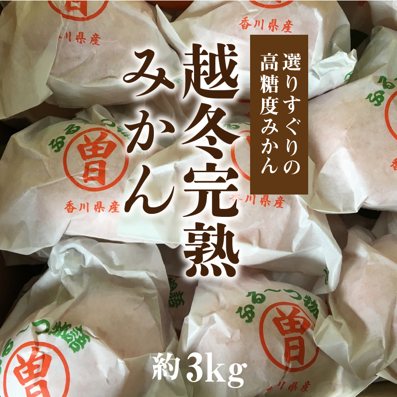 ふるーつ物語「越冬完熟みかん」約３kg（30〜50個入り）_M02-0031