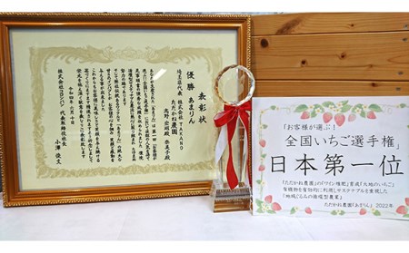 あまりん　ただかね農園　約400g No.228