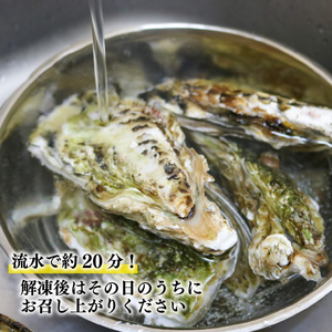  牡蠣 冷凍 8個 産地直送 生食用 殻付 【かき カキ 三陸産牡蠣 国産 海鮮 バーベキュー 牡蠣 真カキ 冷凍 殻付き牡蠣  濃厚 新鮮な牡蠣  かき 牡蠣 鍋 冷凍 簡単調理 アヒージョ 牡蠣 