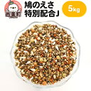 【ふるさと納税】鳩のえさ 特別配合J 5kg×1袋 サイトウ・コーポレーション 飼料