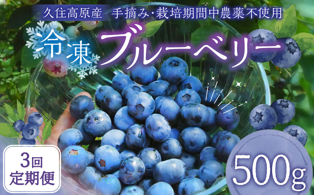 【3回 定期便】久住高原 冷凍 ブルーベリー 500g 栽培期間中農薬不使用 手摘み