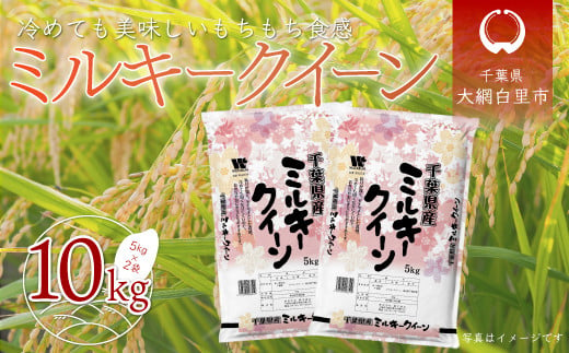 
            令和6年産 千葉県産「ミルキークイーン」10kg（5kg×2袋） お米 10kg 千葉県産 大網白里市 ミルキークイーン 米 精米 こめ 送料無料
          