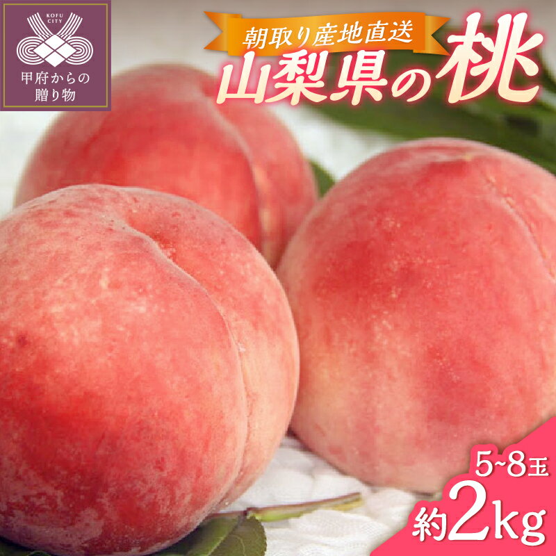 【ふるさと納税】 桃 ピーチ 山梨県産 甲府市産 2kg 5〜8個 もぎたて 朝取り 産地直送 冷蔵 2026年6月下旬～2026年8月中旬頃 期間限定 数量限定 k346-001