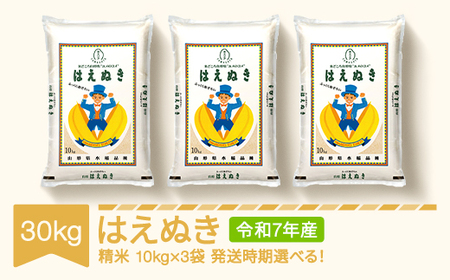 新米 米 30kg 10kg×3 はえぬき 精米 令和7年産 2025年産 山形県産 送料無料 ※沖縄・離島への配送不可 mk-haxxa30