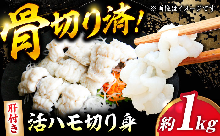 【先行予約】【2025年5月上旬から順次発送】活きハモの骨切り 3人前（約1kg）　愛媛県大洲市/天然活魚　濱　屋 [AGBP004]ハモ 鱧 はも 炊き込みご飯 天ぷら てんぷら 塩焼き 蒲焼 新鮮 魚介類 海鮮 お正月 クリスマス