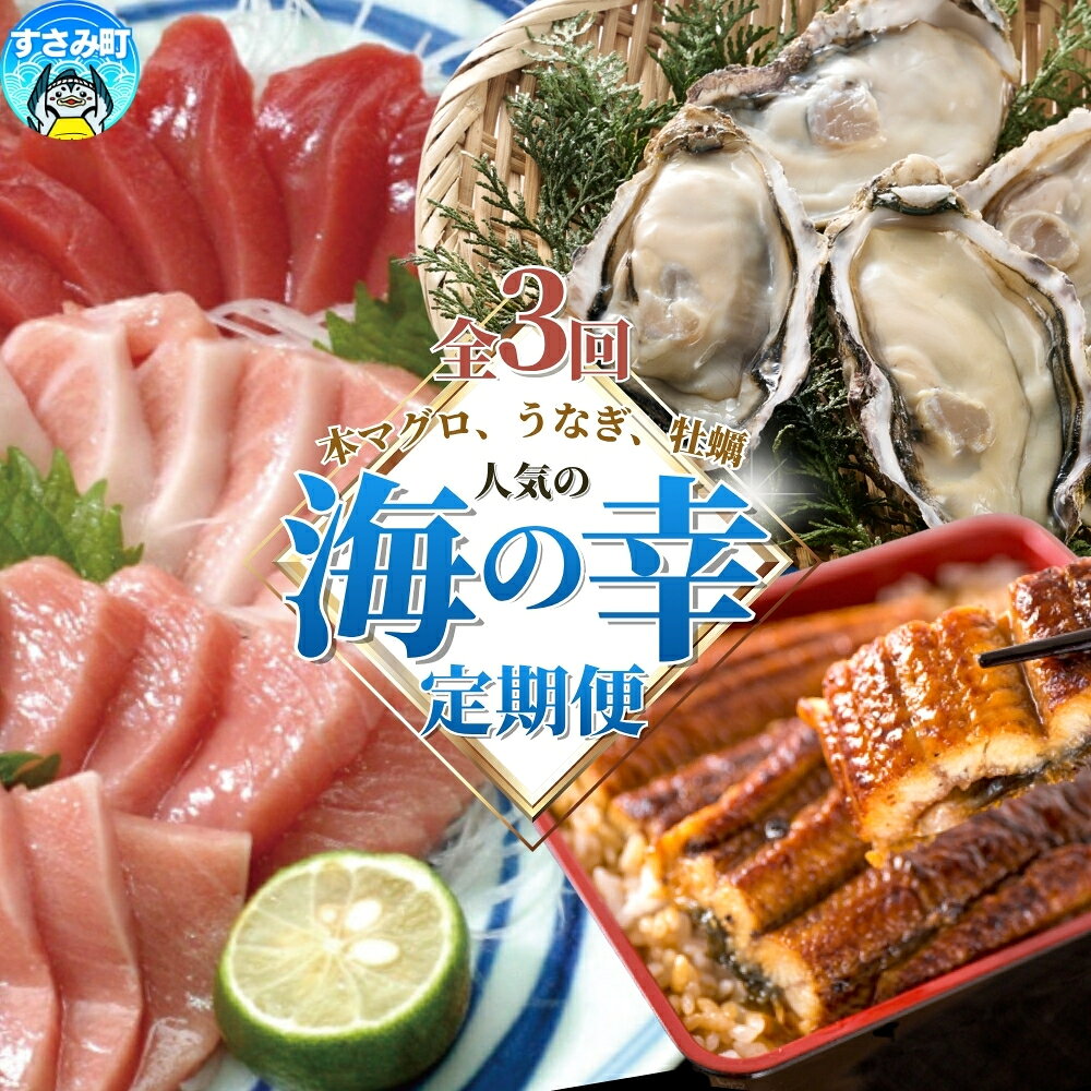 【ふるさと納税】 定期便 【3ヶ月定期便】海の幸定期便 【人気の国産うなぎ・牡蠣・本マグロを3回お届け】 / 海鮮 鰻 ウナギ 牡蠣 カキ まぐろ 鮪 人気 豪華 贈答 贈り物 ご褒美 お祝い ギフト プレゼント
