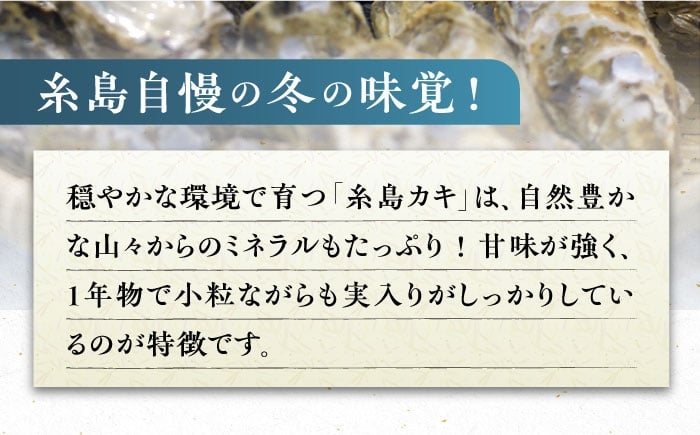 牡蠣 カキ 生ガキ 生牡蠣 福岡県産 糸島カキ 殻付き