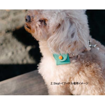 ふるさと納税 葛飾区 ワンちゃんにぜひつけてほしい『迷子にさせないお名前ポーチ「Amigo!」』正方形サイズレモン×ピンク |  | 03