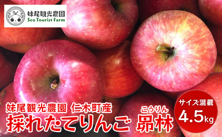 りんご 昴林 妹尾観光農園 北海道産 りんご【4.5kg 15〜18玉】