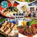 【ふるさと納税】ハンバーグ 2個 餃子 12個 鶏飯 2食分 セット 奄美 島豚 黒豚 簡単 奄美島豚 時短調理 焼くだけ お手軽 郷土料理 島料理 お取り寄せ お取り寄せグルメ 鹿児島県 奄美市 送料無料 冷凍