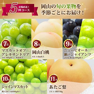ふるさと納税 里庄町 【発送月固定定期便】岡山県産 フルーツ定期便B全5回 |  | 01