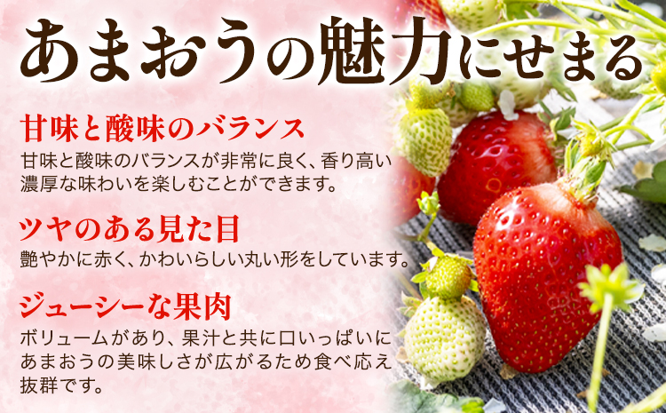 福岡県産 冷凍あまおう 小分けパック 1kg(250g×4袋) 株式会社木村食品《90日以内に出荷予定(土日祝除く)》福岡県 鞍手町 冷凍あまおう いちご 冷凍フルーツ 果物 送料無料---skr_f