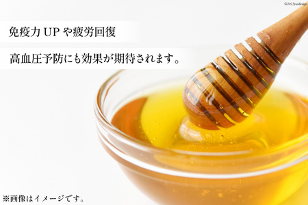 BI286 3回 定期便 国産 はちみつ 百花蜜 500g
