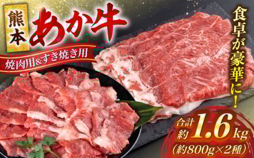 熊本 赤牛 カルビ 焼肉用 約800g・ すきやき しゃぶしゃぶ用 約800g 計約1.6kg 熊本県産 カット済み【合同会社 たべたせいか】 [AYCB029]